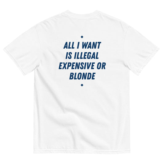 All I Want Is Illegal Expensive Or Blonde T-Shirt