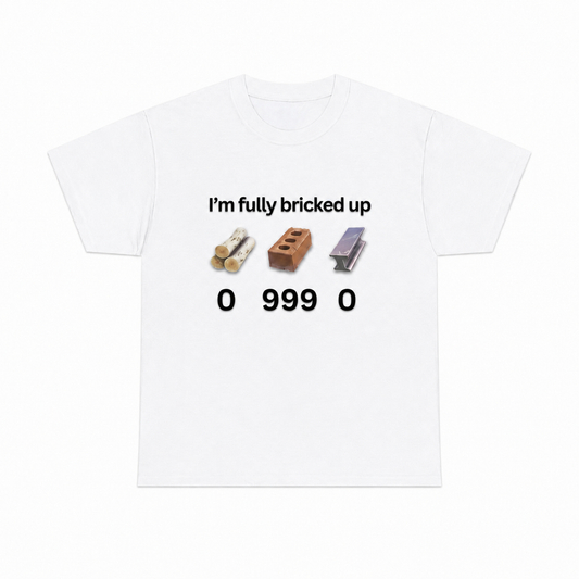 I'm Fully Bricked Up